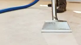 Carpet cleaning wand head gliding over a light carpet during hot-water extraction, Los Angeles, CA.
