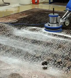 Professional rug cleaning with a rotary floor machine and shampoo foam, deep-cleaning an area rug Los Angeles, CA.